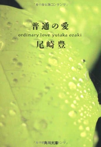 普通の愛 (角川文庫)